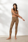 Leo Biscuit Set | Hey Honey & Active Wear